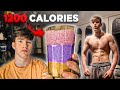3 Extremely High Calorie Shakes for Skinny Guys to Gain Weight