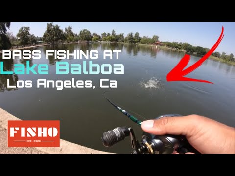 カリフォルニア州ロサンゼルスでの初めてのバス釣り - バルボア湖
