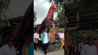 Download lagu Ayam jago #karnaval mp3