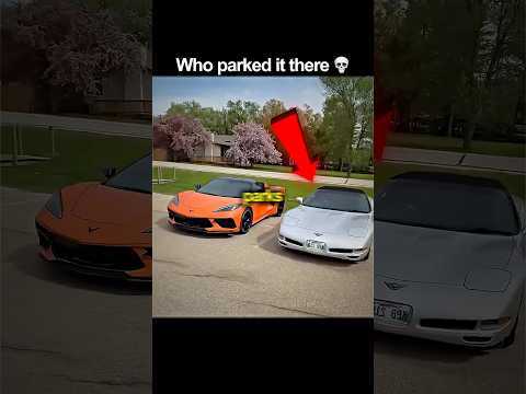Who parked beside bro 💀