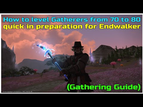 FFXIV shadowbringers How to level gatherers from 70 to 80 in preparation for Endwalker