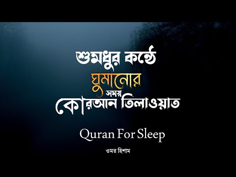 সুমধুর কন্ঠে ঘুমানোর সময় কোরআন তিলাওয়াত শুনুন || Quran For Sleep || Omar Hisham