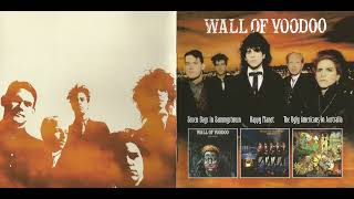 Wall Of Voodoo – When The Lights Go Out