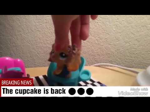 Welcome back CUPCAKES 😄😎😂💞🐼💐🍩