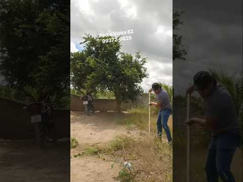 sitio a venda Junqueiro Alagoas Nordeste #sitio #venda #alagoas