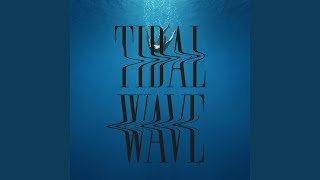 Tidal Wave (David Thulin House Remix)