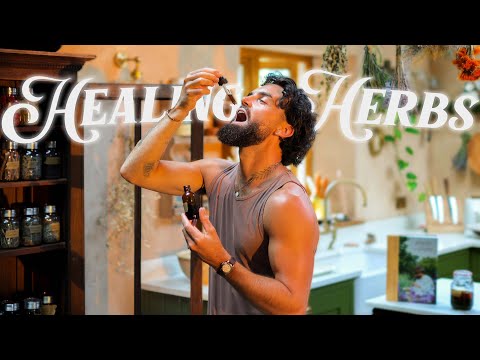 Make Your Own Pharmacy; The Beginner’s Guide to Creating Herbal Medicine 🌿