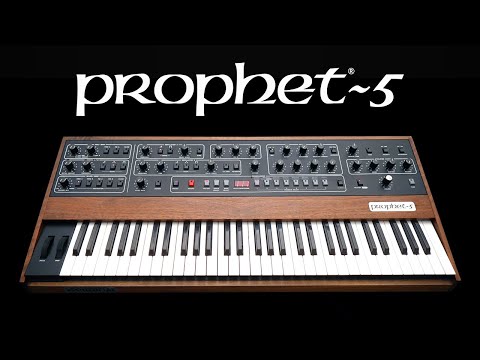 Sequential Prophet-5 Rev 4 Analogue Synthesizer 🎹 image 6