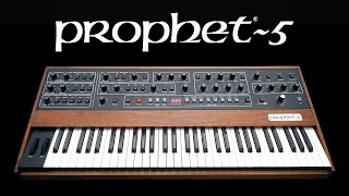 Sequential Prophet 5 Synth Andertons Music Co
