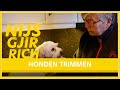 NIJSGJIRRICH: Honden trimmen met Tineke
