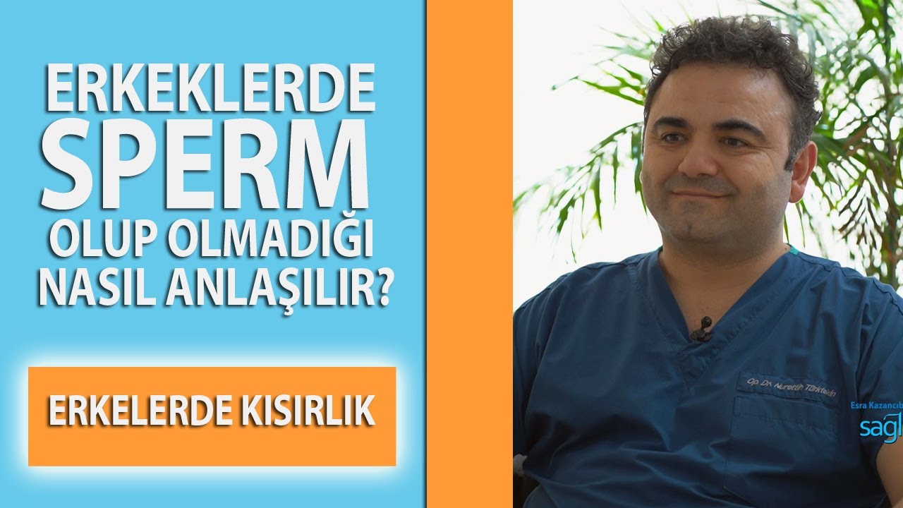 Erkeklerde Kısırlık ve Sperm Kalitesi