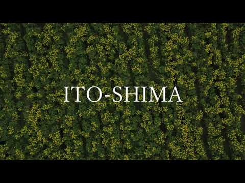 福ふくの里　菜の花　～糸島10秒動画～