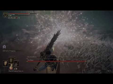 Elden Ring - Nox Swordstress & Nox Priest Boss Fight