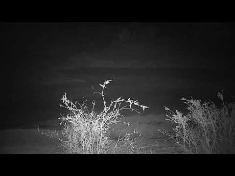 Djuma: Sights and sounds - 19:17 - 10/25/19