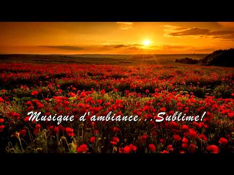 029 - HAUSER – The Lonely Shepherd (Alone, together)