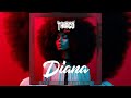 Fireboy DML Ft Chris Brown Shenseea Diana Thiago Remix