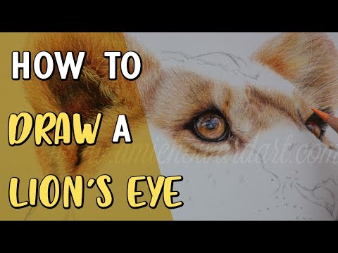 Part of a video titled HOW TO DRAW A LION'S EYE | Coloured Pencil Drawing Tutorial
