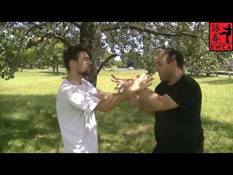 Tang Yik Weng Chun Kuen - two man set 1 y 2