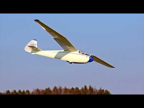 AIRBORNE WITH THE GULL REPLICA