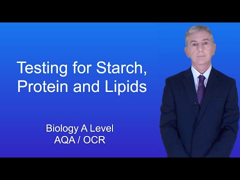 A Level Biology Revision "Testing for Starch, Protein and Lipids"