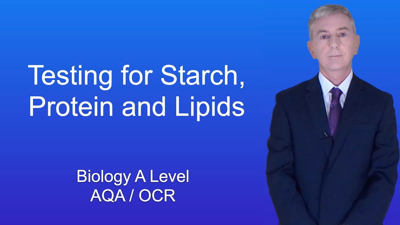 A Level Biology Revision "Testing for Starch, Protein and Lipids"