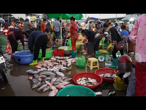 Morning Fish Market Scene in Cambodia - Activities of Vendors Selling Alive Fish & More @Fish Market
