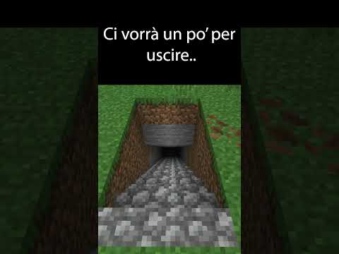 HO FATTO UN ERRORE da PRINCIPIANTI su MINECRAFT...