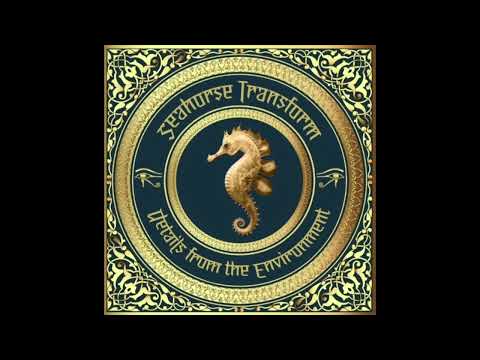 Emerge in the Mist - Seahorse Transform