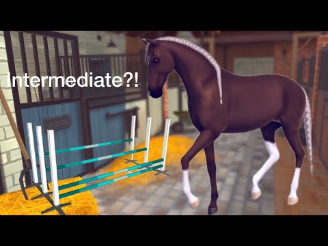 How To Get To Intermediate?! [Equestrian The Game] (ETG)