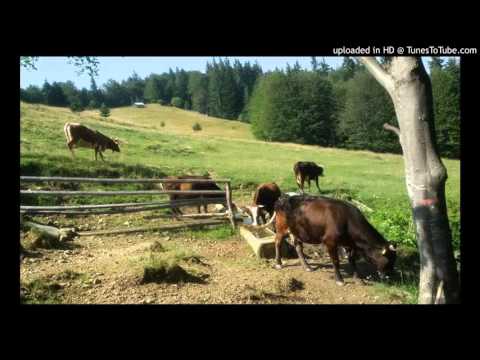download lagu mp3 mp4 Lou Rawls Oh What A Beautiful Morning, download lagu Lou Rawls Oh What A Beautiful Morning gratis, unduh video klip Lou Rawls Oh What A Beautiful Morning