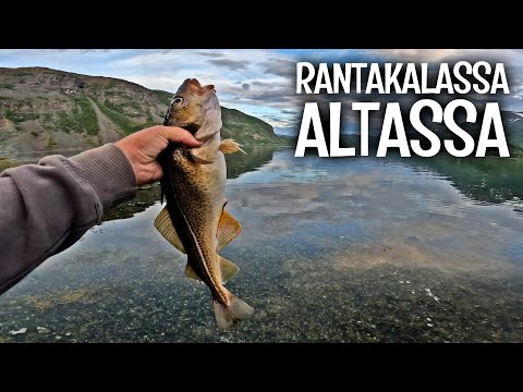 SEITIÄ JA TURSKAA ALTASTA - HYVILLÄ PAIKOILLA OLI PALJON KALASTAJIA