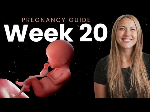 20 Weeks Pregnant | Week By Week Pregnancy