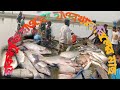 হাকালুকি হাওরের হাওরখাল বিলের মাছ vairalvideo foryou tending fishing fish sylhet