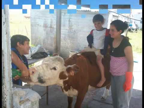 El Rol de la Mujer Rural en la Sociedad