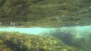 preview picture of video 'Rocas bajo el agua de la playa dels Palangrers en Rosas 1/3'
