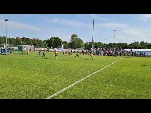 PPJ Laru Sinivalkoinen - EsPa 2013 Keltainen 1