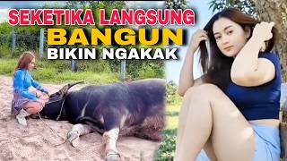 Download lagu SEKETIKA LANGSUNG BANGUN ‼️KELAKUAN PALING KONYOL BIKIN NGAKAK‼️ VIDEO LUCU 2026 mp3