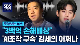 "3백억 손해배상"..'AI조작 구속' 김세의 어쩌나 / SBS / 모아보는 뉴스