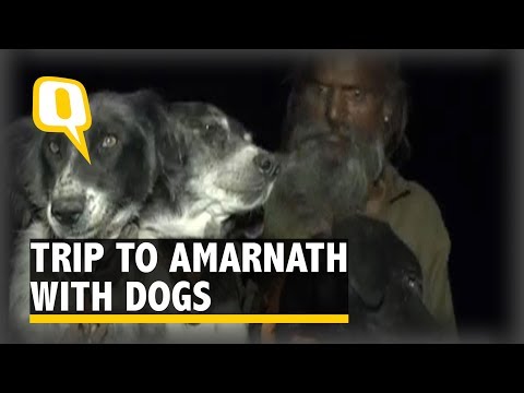 This Sadhu With His Three Dogs Takes a Trip to Amarnath on a Bike - The Quint