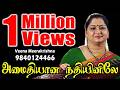 Amaithiyaana Nathiyinile அமைதியான நதியினிலே Film Instrumental By V