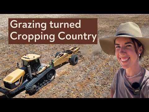 How Clay Spreading & Delving Turned Sandy Soil into Cropping Country