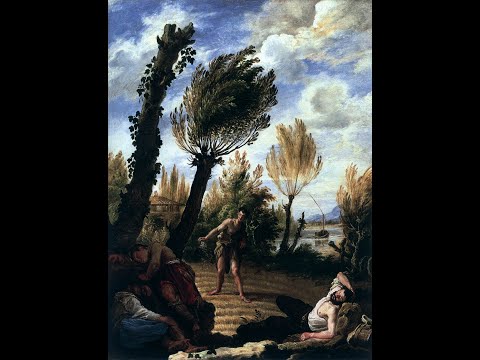 Sexagesima Sunday: Getting Rid of the Rocks & Thorns in Your Soul