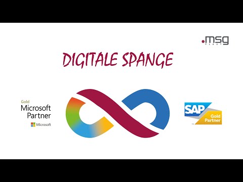 Die Digitale Spange der msg Plaut