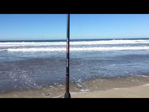 Zmudowski State Beach Surf Fishing - Caught a 10 in Barred Surf Perch!