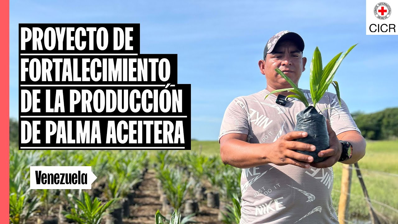 Venezuela | Proyecto de fortalecimiento de la producción de palma aceitera