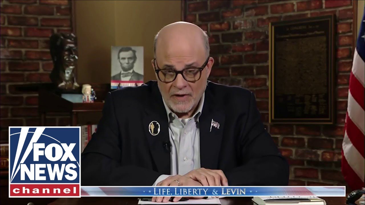 Levin: Dems 'HAVE THE GALL' to do this?