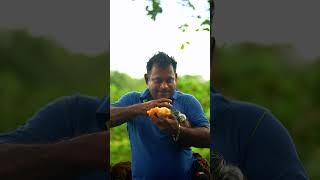 Download lagu Rata Goraka vs Honey 😳🍯 mp3 Download lagu Rata Goraka vs Honey 😳🍯 mp3