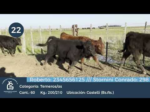 Lote M Y H - Castelli Bs As