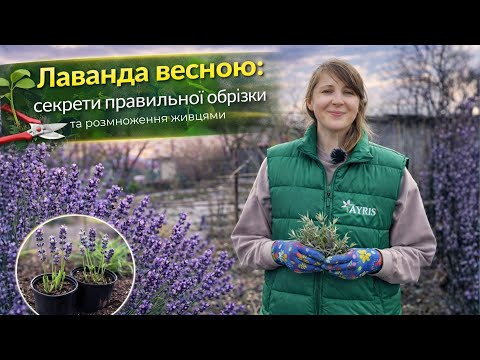 Приклад відео 3
