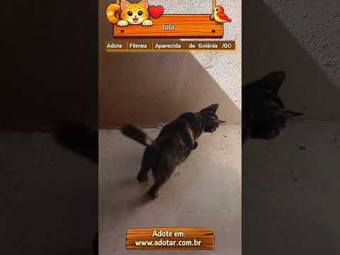 Vídeo de lola